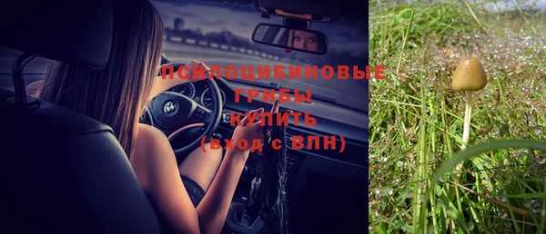 герыч Покровск