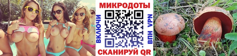 Купить где  Вязники  Псилоцибиновые грибы Cubensis 